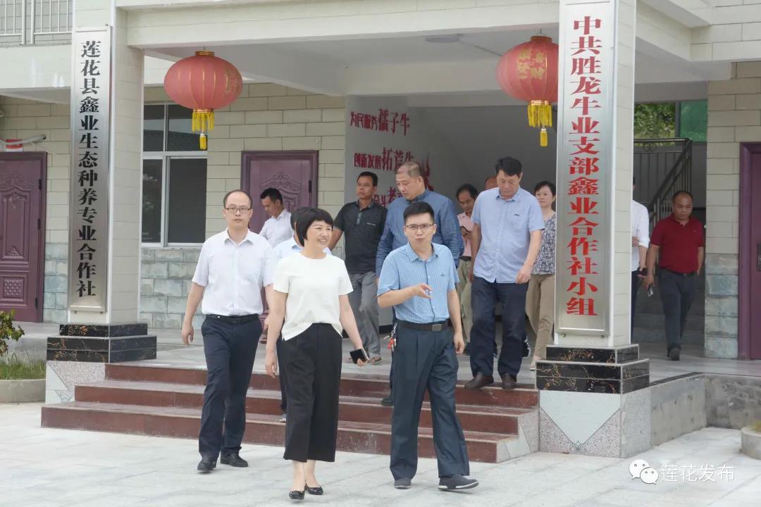 卢小青一行旅行白渡村肉牛养殖工业基地2.jpg 卢小青一行旅行白渡村肉牛养殖工业基地2.jpg