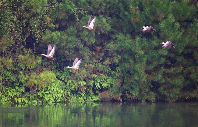 20230725-094843823864.jpg 20230725-094843823864.jpg