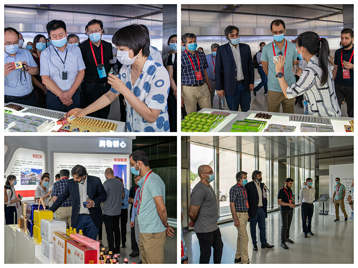 11代表团2.jpg 11代表团2.jpg