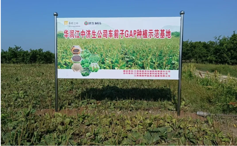 树模基地 树模基地.png